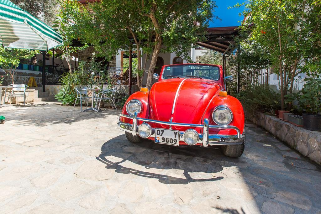 Zakkum Pansiyon Kaş Exteriör bild